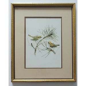 Max Stase Lithograph Signed and Framed